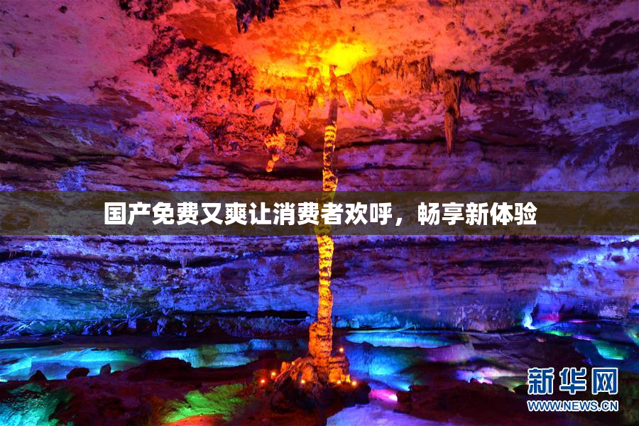 国产免费又爽让消费者欢呼，畅享新体验