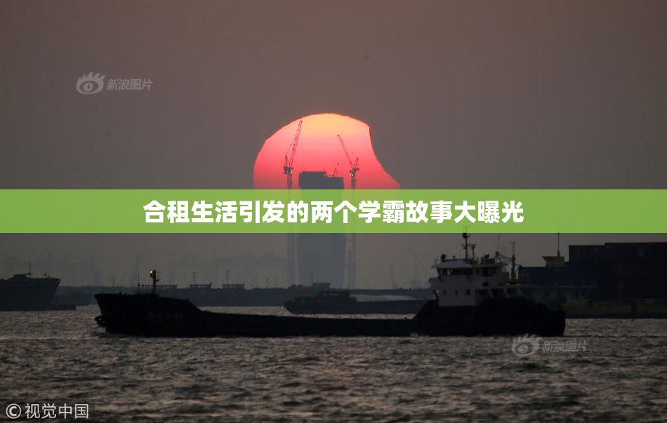 合租生活引发的两个学霸故事大曝光