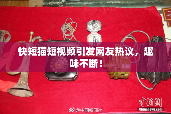 快短猫短视频引发网友热议，趣味不断！