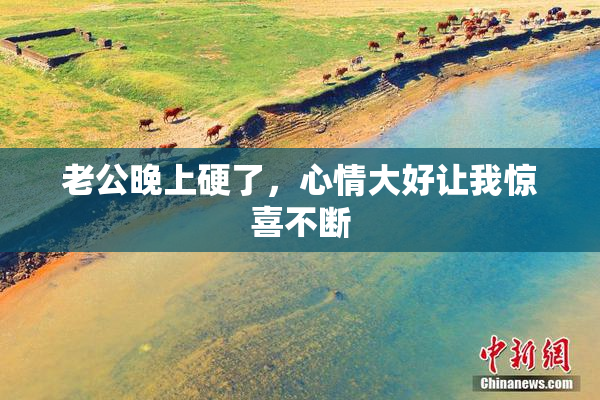 老公晚上硬了，心情大好让我惊喜不断