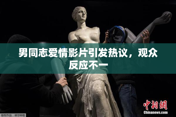 男同志爱情影片引发热议，观众反应不一