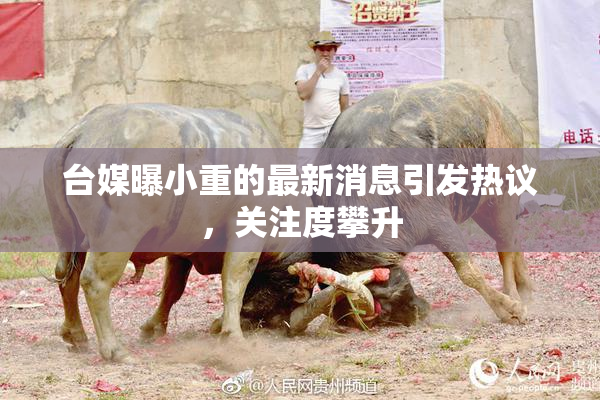 台媒曝小重的最新消息引发热议，关注度攀升