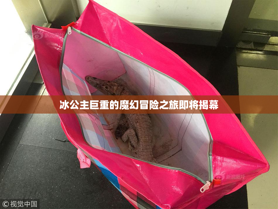 冰公主巨重的魔幻冒险之旅即将揭幕