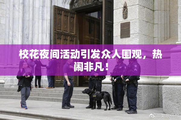 校花夜间活动引发众人围观，热闹非凡！