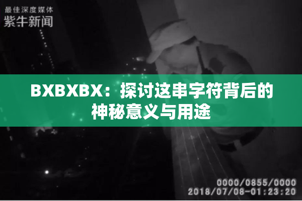 BXBXBX：探讨这串字符背后的神秘意义与用途