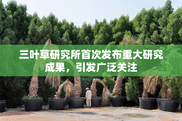 三叶草研究所首次发布重大研究成果，引发广泛关注