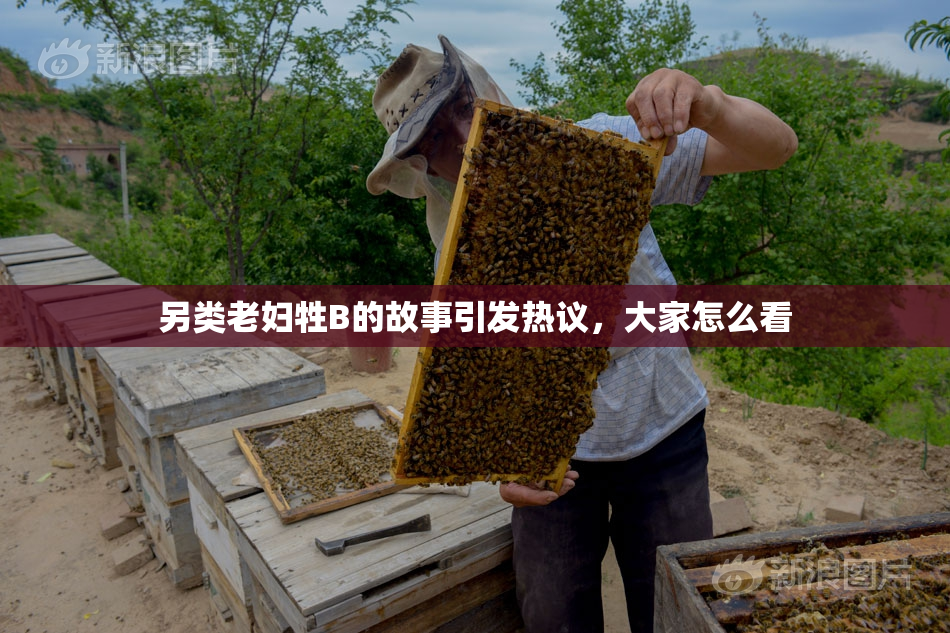 另类老妇牲B的故事引发热议，大家怎么看
