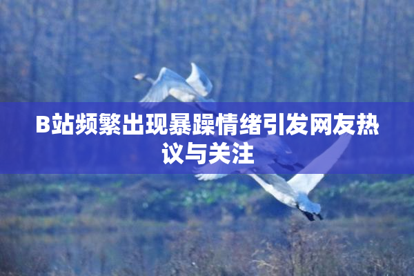 B站频繁出现暴躁情绪引发网友热议与关注