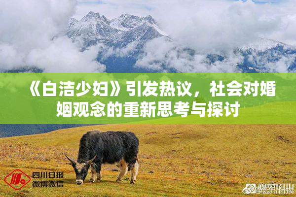《白洁少妇》引发热议，社会对婚姻观念的重新思考与探讨