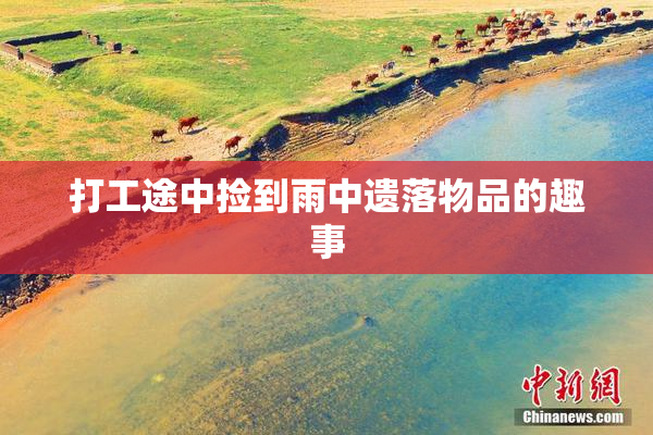 打工途中捡到雨中遗落物品的趣事