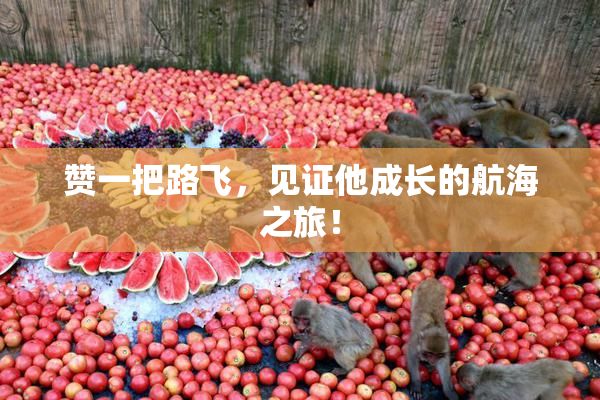 赞一把路飞，见证他成长的航海之旅！