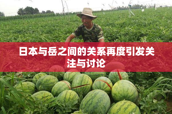 日本与岳之间的关系再度引发关注与讨论