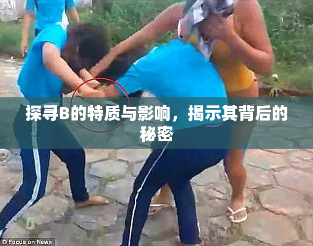 探寻B的特质与影响，揭示其背后的秘密