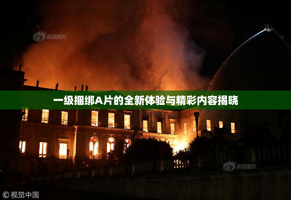 一级捆绑A片的全新体验与精彩内容揭晓