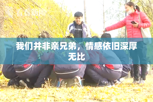 我们并非亲兄弟，情感依旧深厚无比