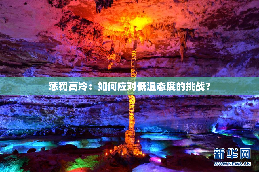 惩罚高冷：如何应对低温态度的挑战？