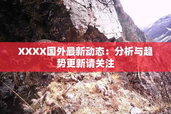 XXXX国外最新动态：分析与趋势更新请关注