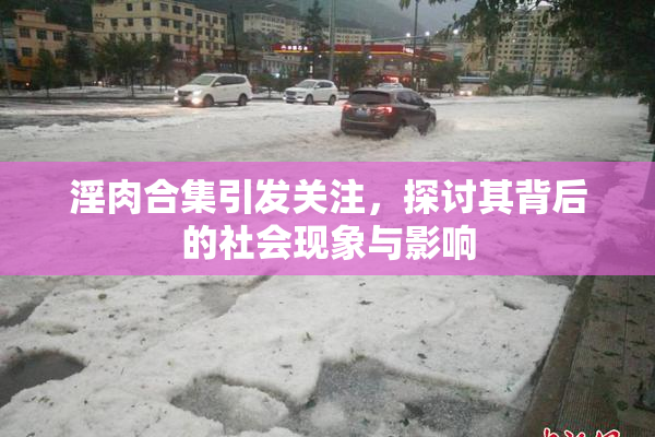 淫肉合集引发关注，探讨其背后的社会现象与影响