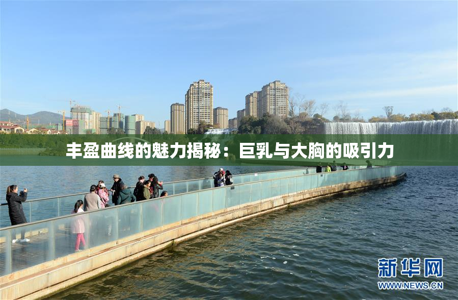 丰盈曲线的魅力揭秘：巨乳与大胸的吸引力
