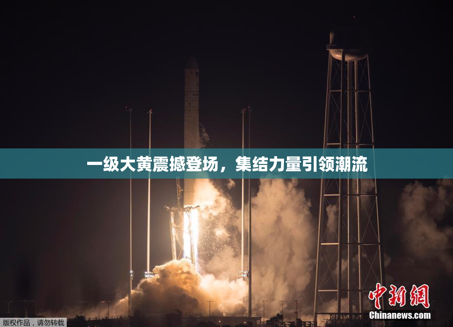 一级大黄震撼登场，集结力量引领潮流