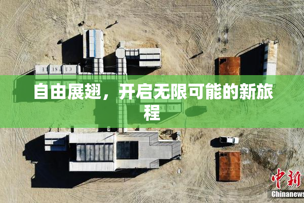 自由展翅，开启无限可能的新旅程