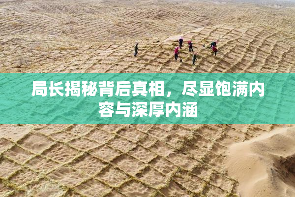 局长揭秘背后真相，尽显饱满内容与深厚内涵