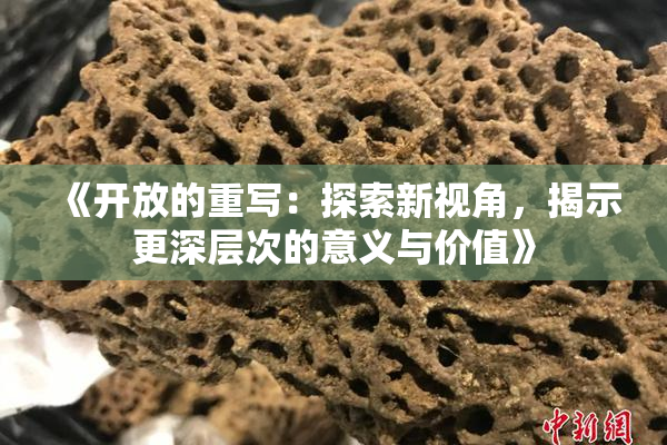 《开放的重写：探索新视角，揭示更深层次的意义与价值》