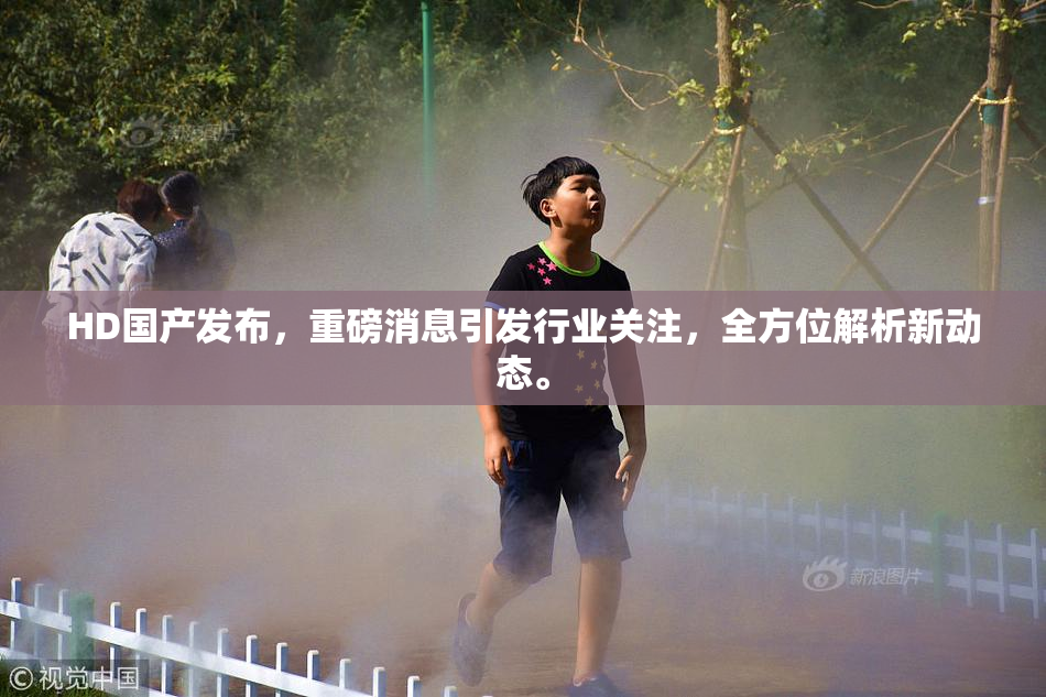 HD国产发布，重磅消息引发行业关注，全方位解析新动态。