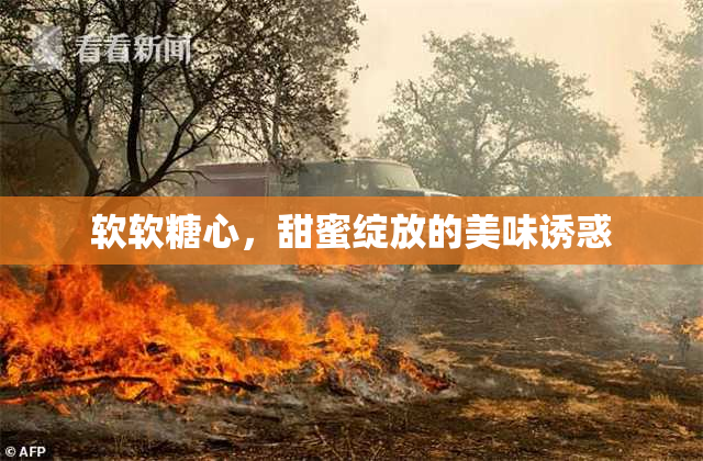 软软糖心，甜蜜绽放的美味诱惑