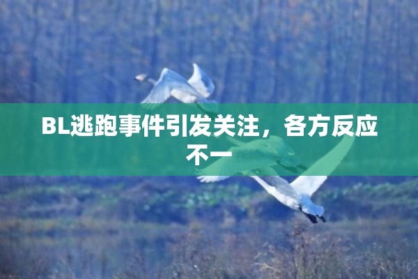 BL逃跑事件引发关注，各方反应不一