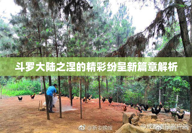 斗罗大陆之涅的精彩纷呈新篇章解析