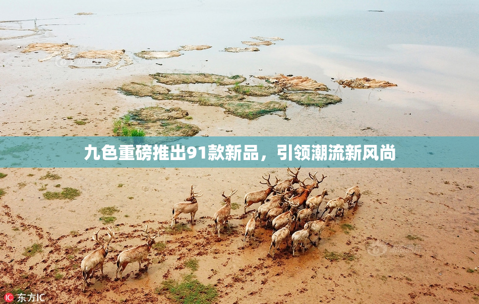 九色重磅推出91款新品，引领潮流新风尚