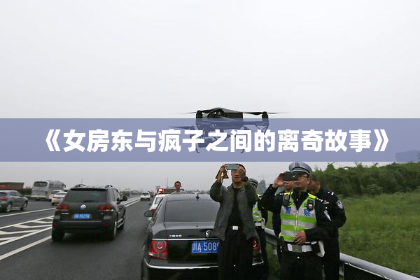 《女房东与疯子之间的离奇故事》