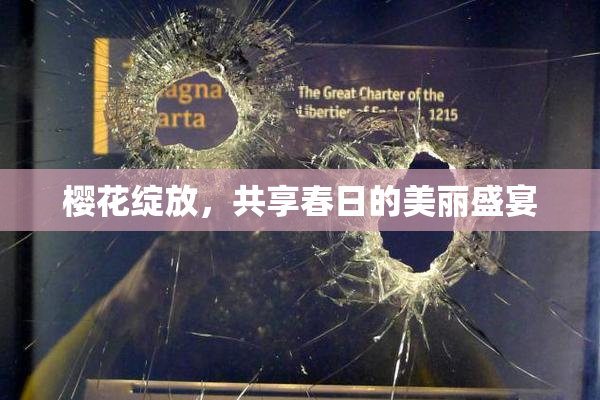 樱花绽放，共享春日的美丽盛宴