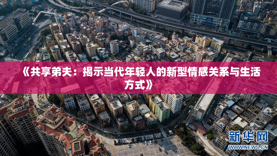 《共享弟夫：揭示当代年轻人的新型情感关系与生活方式》