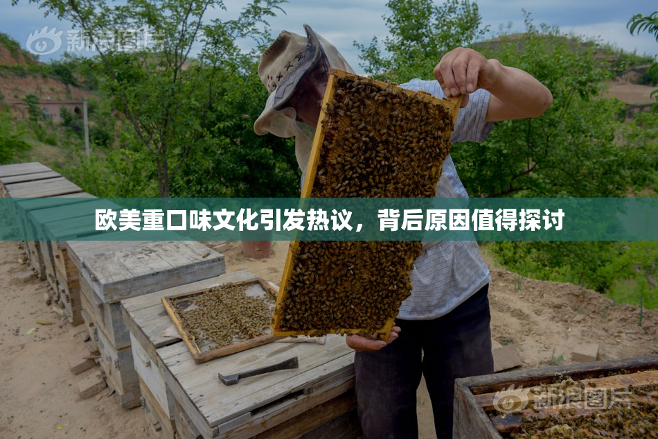欧美重口味文化引发热议，背后原因值得探讨