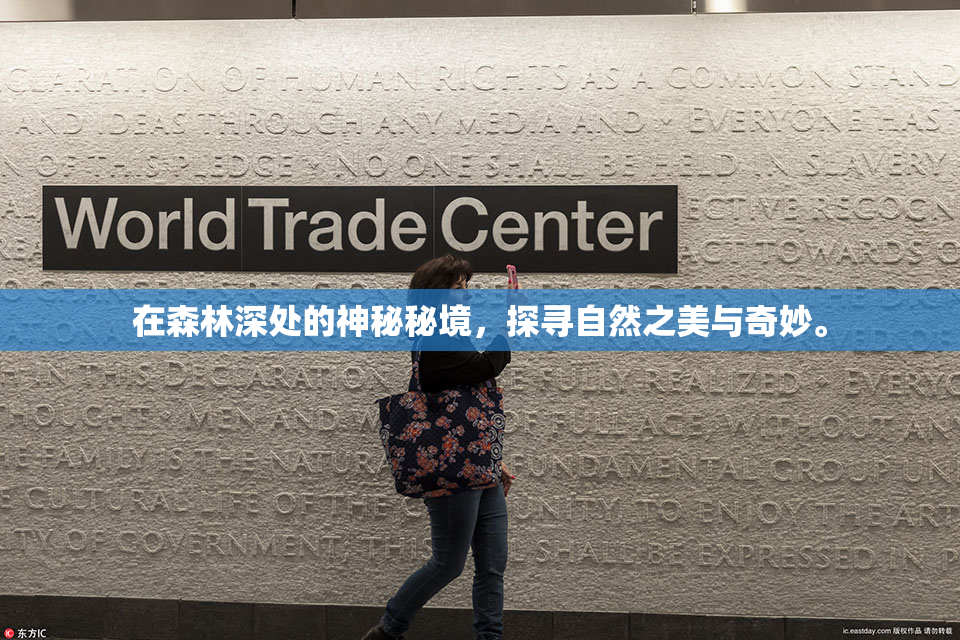 在森林深处的神秘秘境，探寻自然之美与奇妙。
