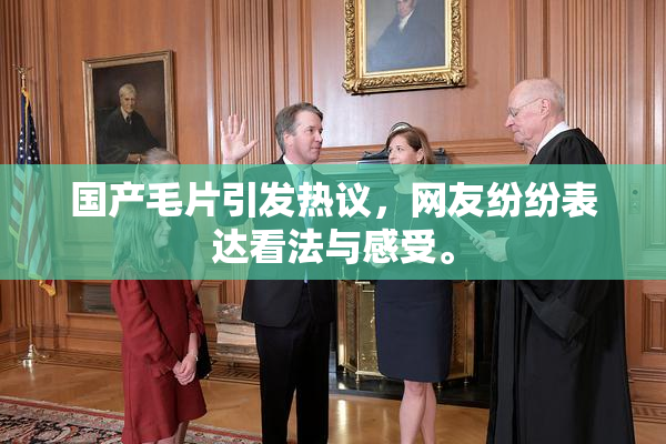 国产毛片引发热议，网友纷纷表达看法与感受。