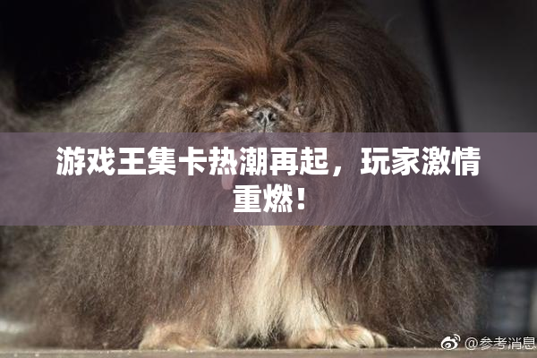 游戏王集卡热潮再起，玩家激情重燃！