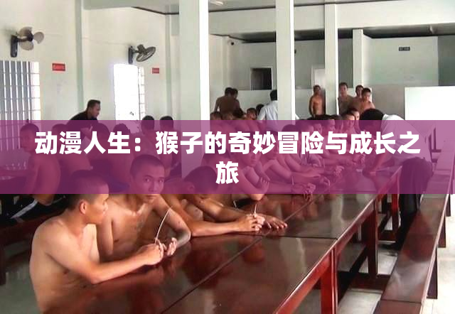 动漫人生：猴子的奇妙冒险与成长之旅