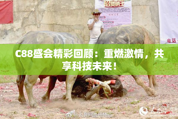 C88盛会精彩回顾：重燃激情，共享科技未来！