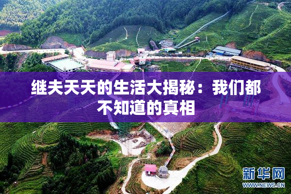 继夫天天的生活大揭秘：我们都不知道的真相