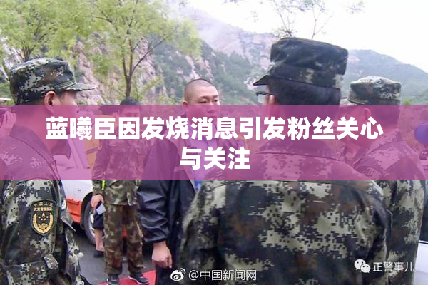 蓝曦臣因发烧消息引发粉丝关心与关注