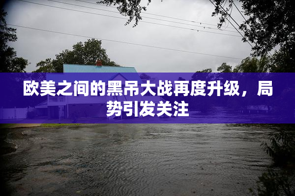 欧美之间的黑吊大战再度升级，局势引发关注