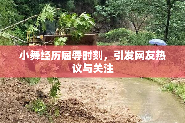 小舞经历屈辱时刻，引发网友热议与关注