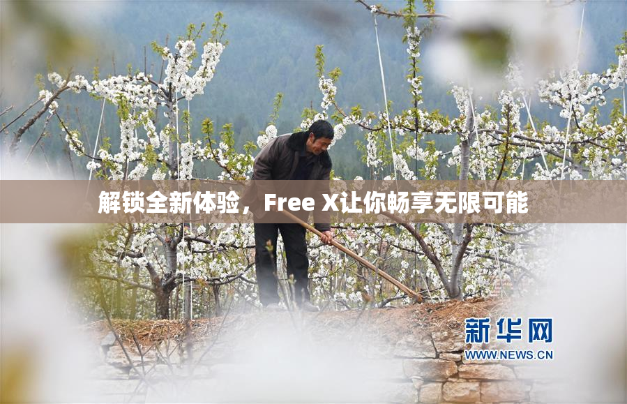 解锁全新体验，Free X让你畅享无限可能