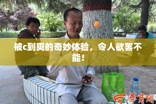 被c到爽的奇妙体验，令人欲罢不能！