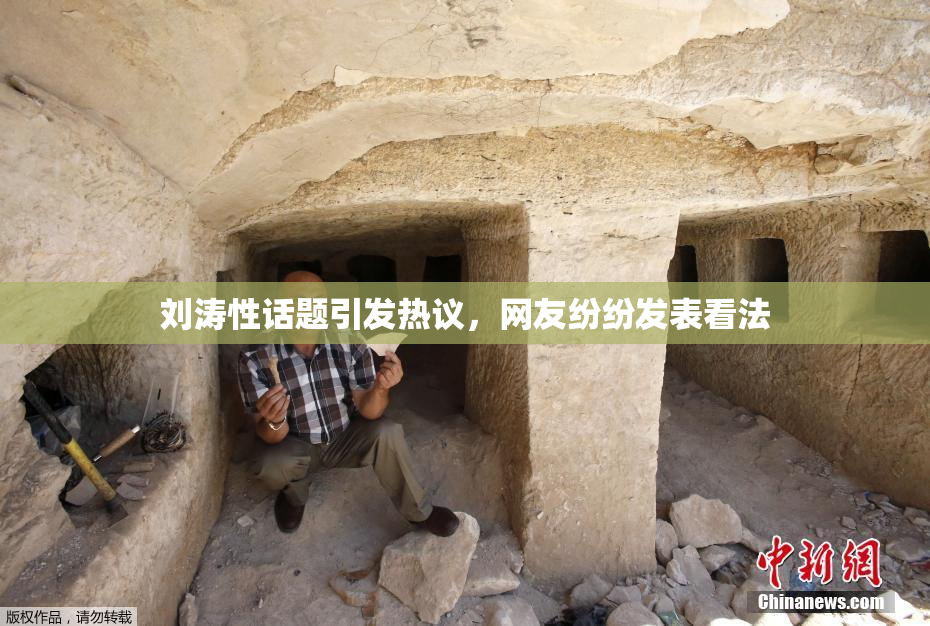 刘涛性话题引发热议，网友纷纷发表看法