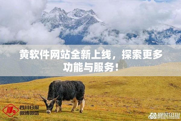 黄软件网站全新上线，探索更多功能与服务！