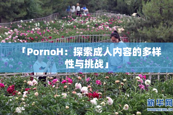 「PornoH：探索成人内容的多样性与挑战」